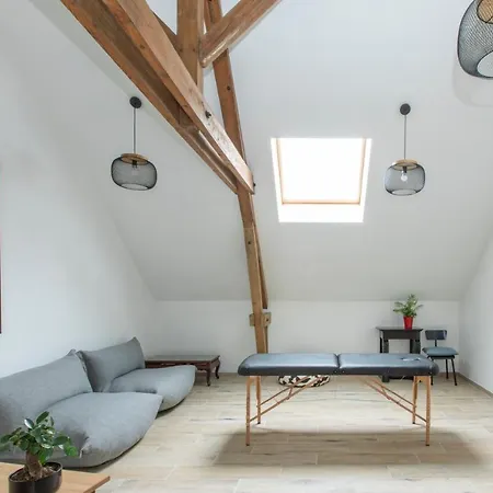 Villa Aux Petits Lapins De Sorval, Sauna Prive, Fitness Selvigny