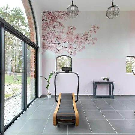 Aux Petits Lapins De Sorval, Sauna Prive, Fitness Villa *