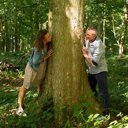 Villa Aux Petits Lapins De Sorval, Sauna Prive, Fitness *