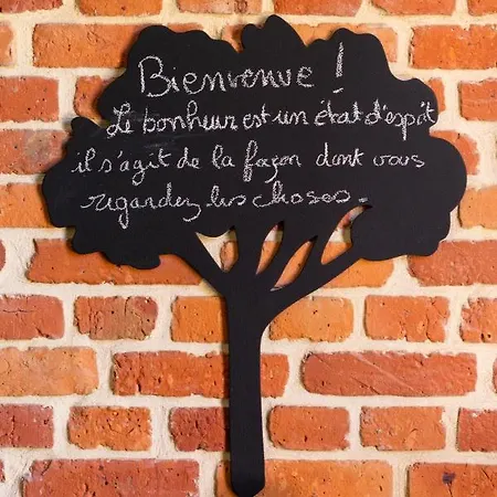 Aux Petits Lapins De Sorval, Sauna Prive, Fitness Walincourt-Selvigny